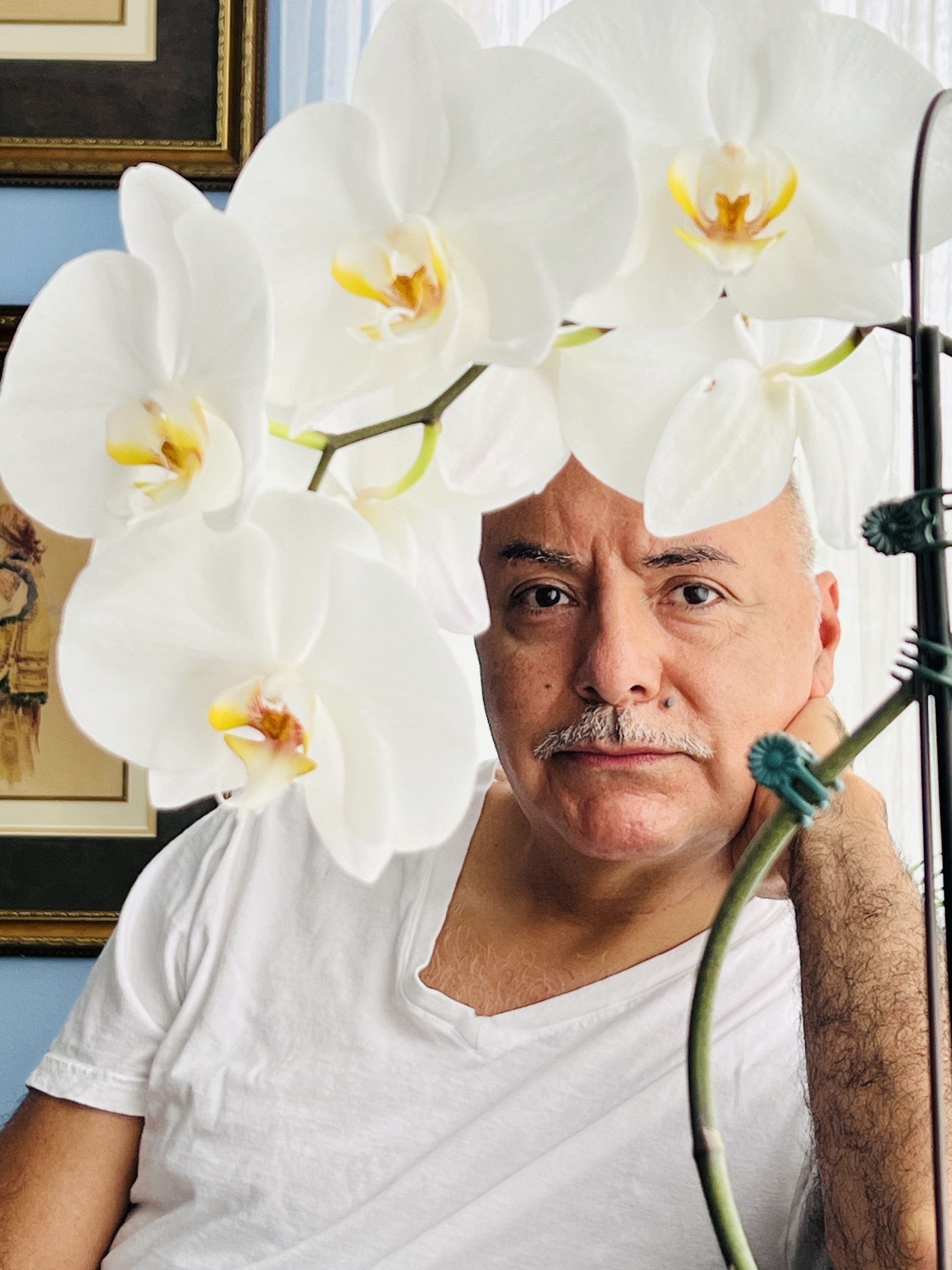 Gustavo J. Perez - Willow House